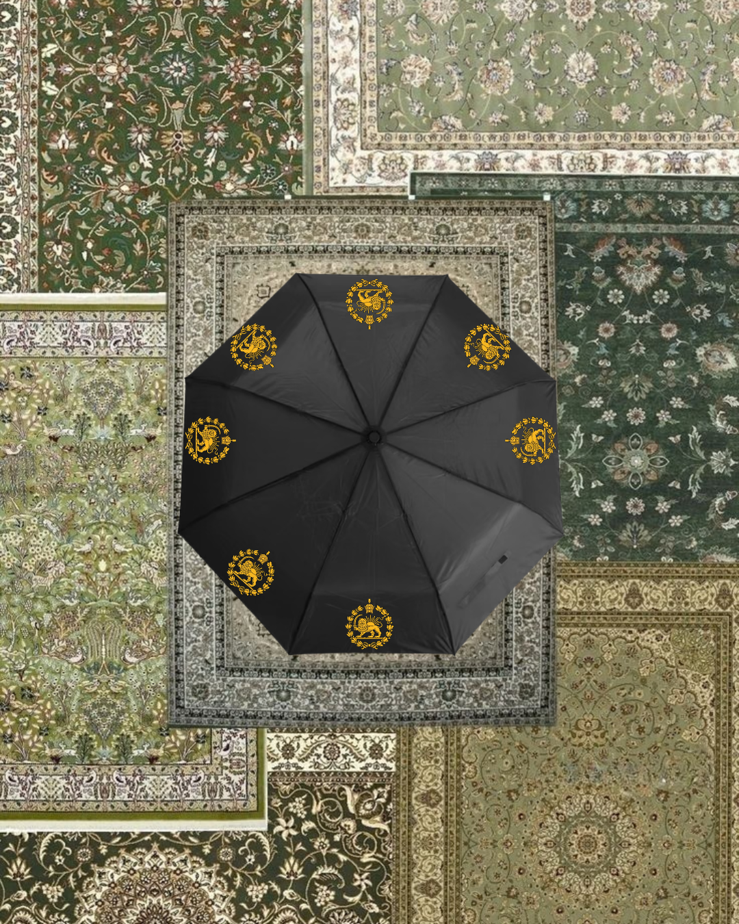 Paraply - Shir o khorshid