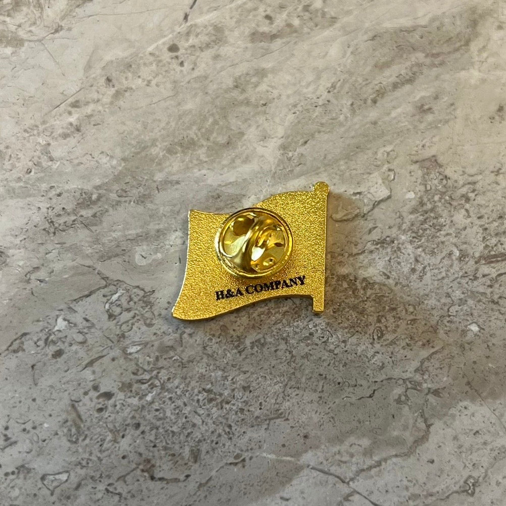 Pin / Brooch - Iran fag