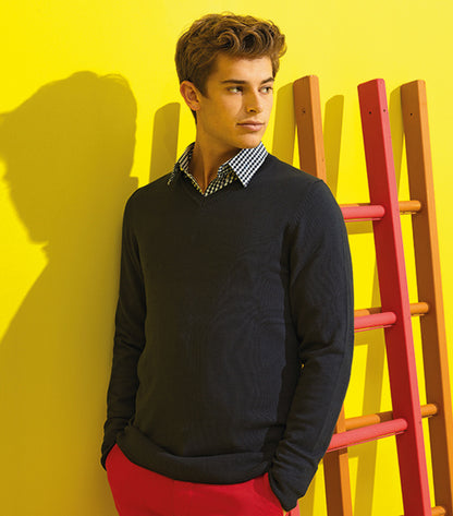 Fine-knit Pullover V-Neck 