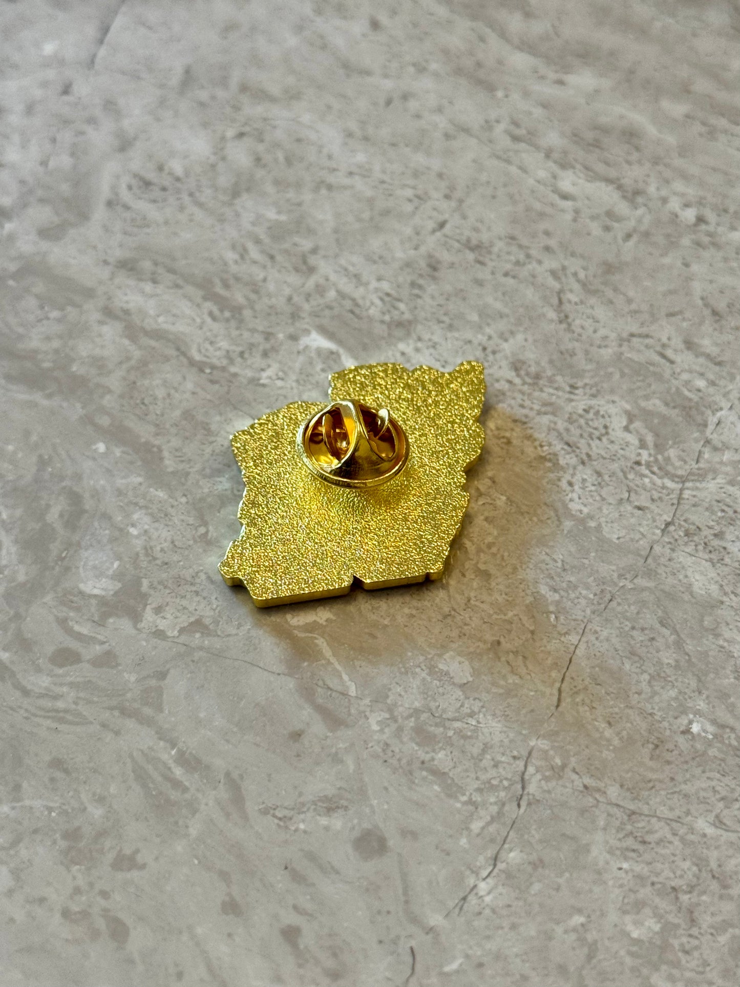 Pin / Brooch - Iran map